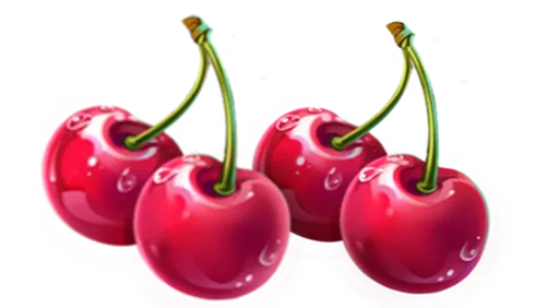 A bright pair of glossy cherries
